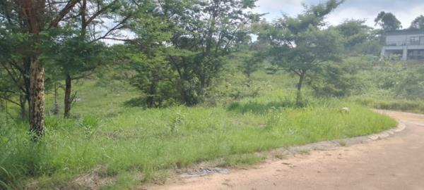 516 m² Land