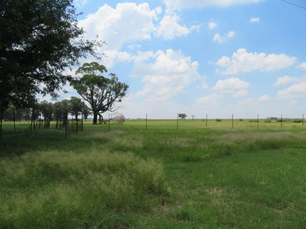 168 ha Farm