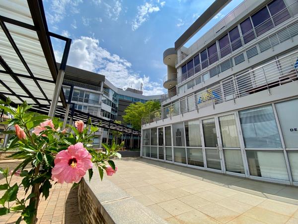 255  m² Office Space