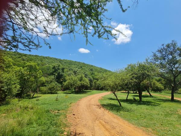 2 662 m² Land