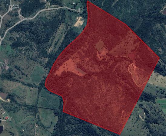 54 ha Farm with House