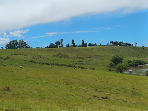 22 ha Smallholding