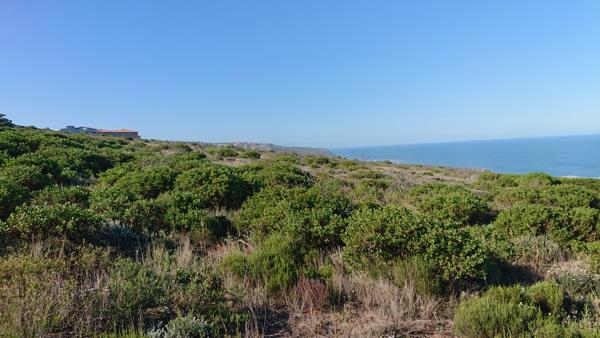 980 m² Land