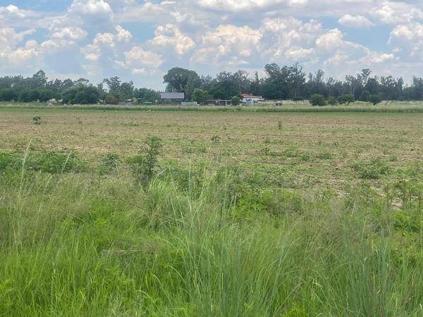 4 ha Smallholding