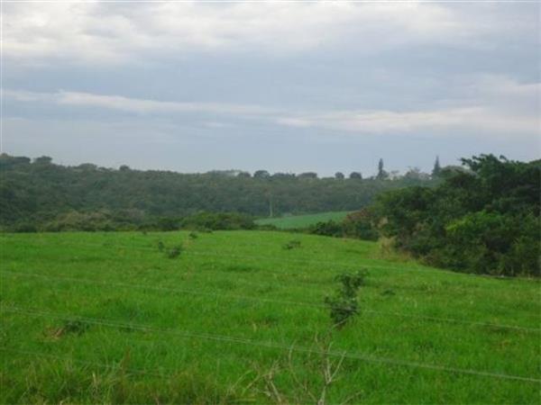 9.8 ha Farm with House