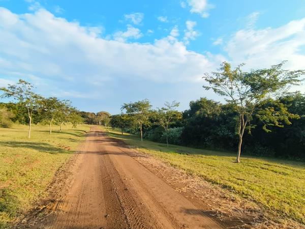4 162 m² Land
