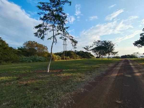 4.6 ha Land