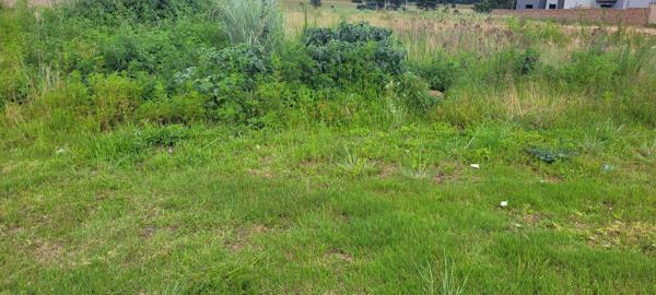 1 200 m² Land
