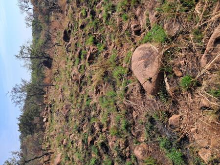 1 ha Land
