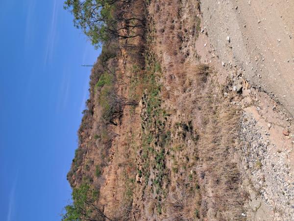 1 ha Land