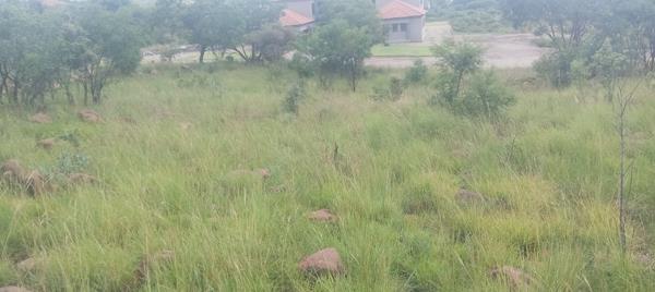 1 ha Land