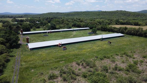 21 ha Commercial Farm