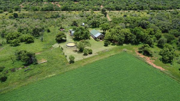 29 ha Agricultural Holding