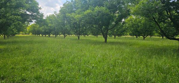 96.6 ha Farm