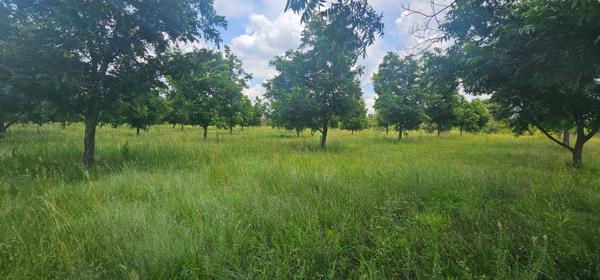96.6 ha Farm