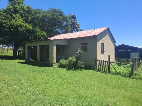 6.8 ha Smallholding