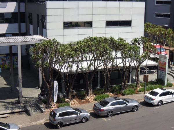 111  m² Commercial space