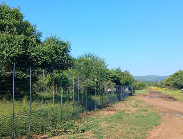 1 ha Land