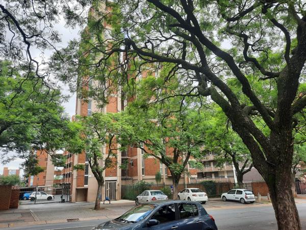 1.5 Bedroom Apartment