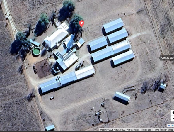 295 ha Farm with House