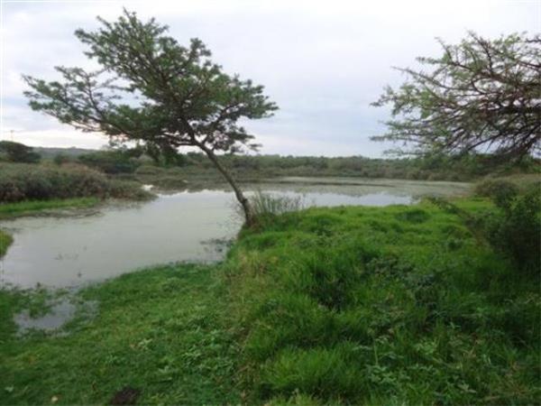 10.4 ha Land