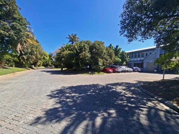 229  m² Commercial space