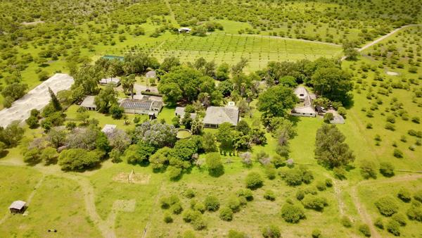 21.4 ha Smallholding