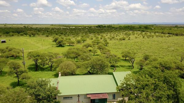 21.4 ha Smallholding