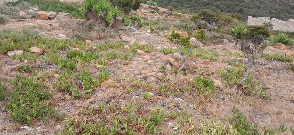 600 m² Land