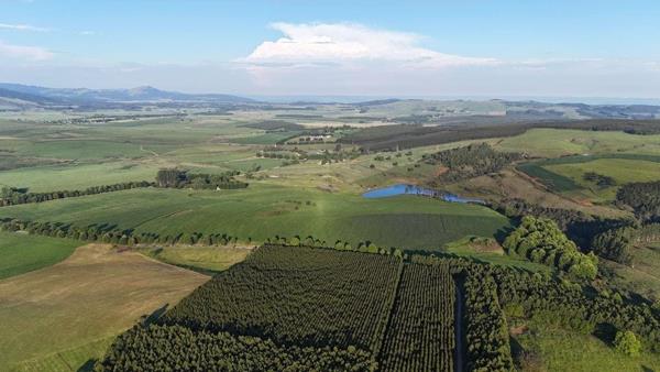 20 m² Farm