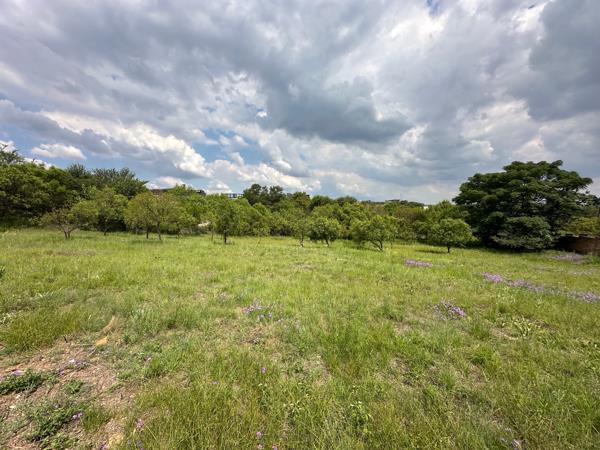 1 641 m² Land