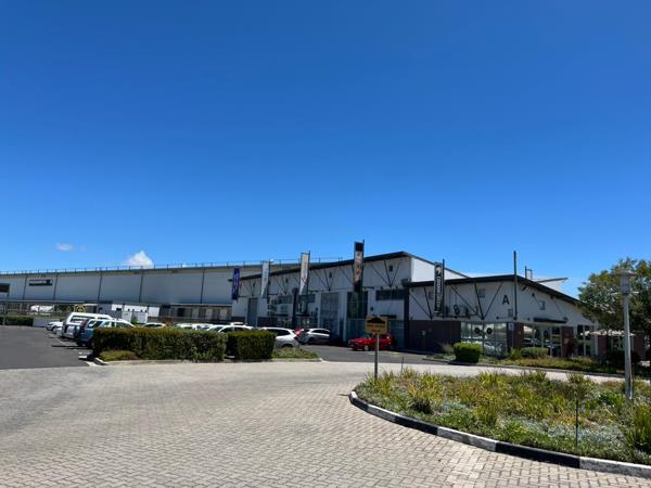 146.1 m² Retail Space