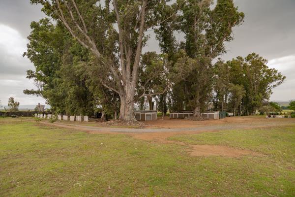 38.2 ha Farm with House