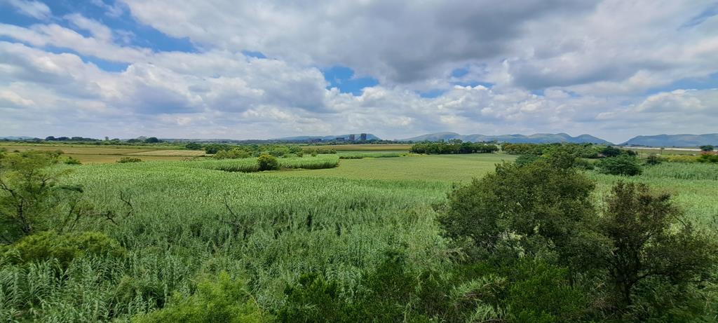 3.1 ha Land