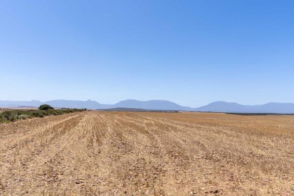 265 ha Commercial Farm