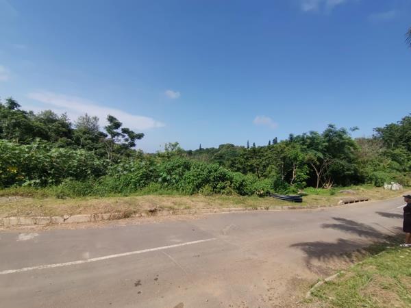 4 875 m² Land
