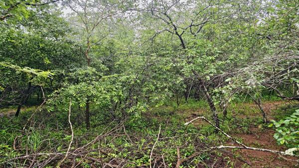 2 140 m² Land