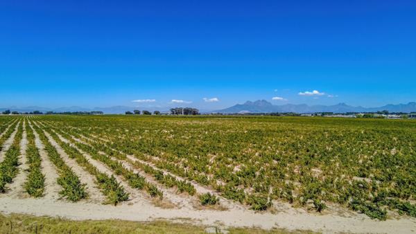 6 243 m² Smallholding