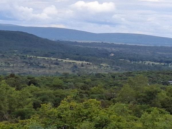 1.6 ha Farm with House