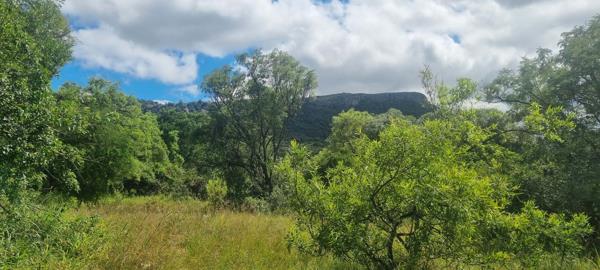80 ha Farm