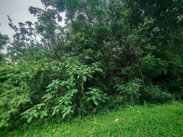1 349 m² Land