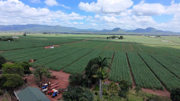 173 ha Farm