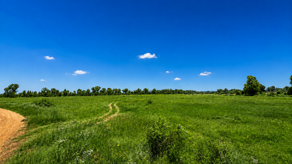 33.6 ha Land