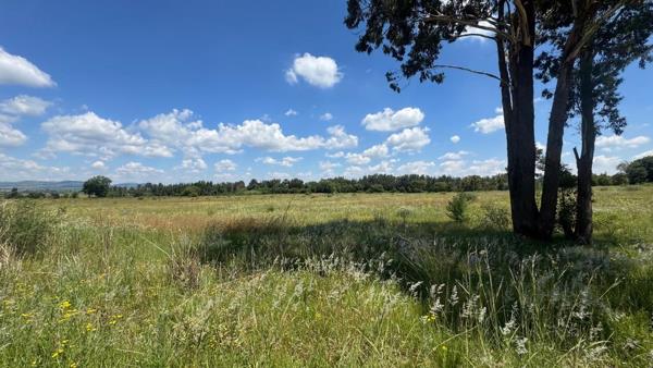 33.6 ha Land