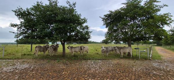 29.7 ha Farm