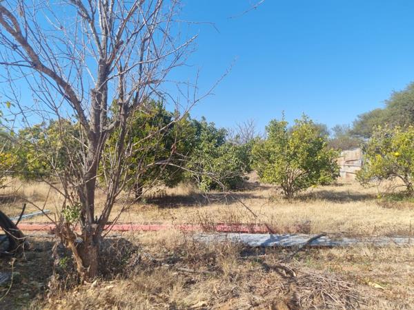 8.5 ha Farm with House