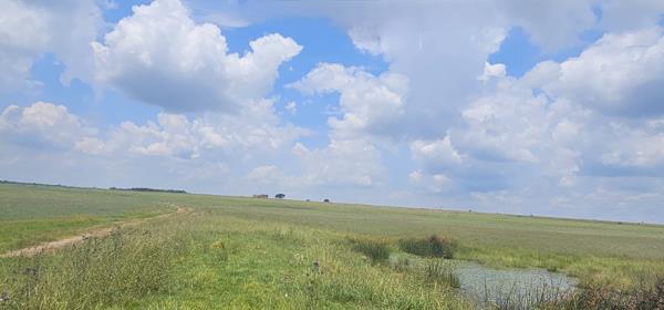 71 ha Land