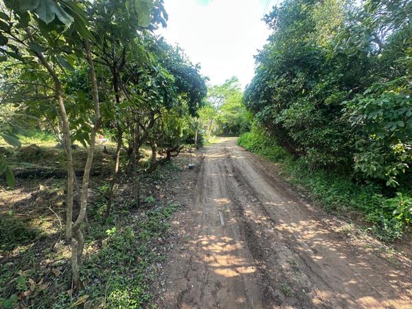 4.5 ha Smallholding