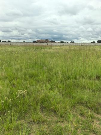 1.3 ha Land