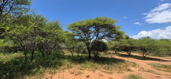 24 ha Smallholding